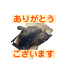 ケバブと田中クマ。連絡に使う編（個別スタンプ：16）