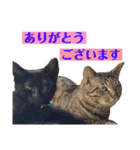 ケバブと田中クマ。連絡に使う編（個別スタンプ：19）