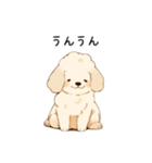 癒しのトイプードルの子犬♡♡（個別スタンプ：19）