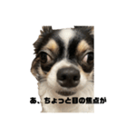 外斜視そら（個別スタンプ：4）