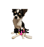 外斜視そら（個別スタンプ：5）