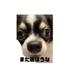 外斜視そら（個別スタンプ：14）