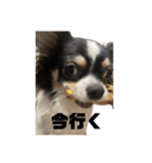 外斜視そら（個別スタンプ：21）