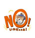 柴犬は最高その2（個別スタンプ：14）