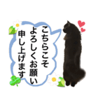 黒猫 ルナ院長126にゃんめ（個別スタンプ：2）