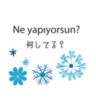 冬に毎日使いたいトルコ語＆日本語☆青色（個別スタンプ：10）