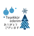冬に毎日使いたいトルコ語＆日本語☆青色（個別スタンプ：19）