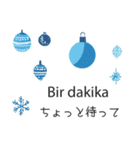 冬に毎日使いたいトルコ語＆日本語☆青色（個別スタンプ：30）