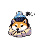 ドット絵 冬の柴犬 40種（個別スタンプ：1）