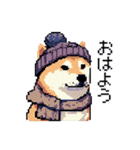 ドット絵 冬の柴犬 40種（個別スタンプ：2）