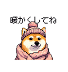 ドット絵 冬の柴犬 40種（個別スタンプ：5）