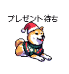 ドット絵 冬の柴犬 40種（個別スタンプ：7）