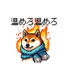 ドット絵 冬の柴犬 40種（個別スタンプ：8）