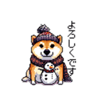 ドット絵 冬の柴犬 40種（個別スタンプ：9）