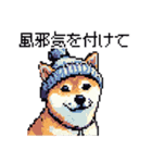 ドット絵 冬の柴犬 40種（個別スタンプ：10）