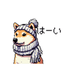 ドット絵 冬の柴犬 40種（個別スタンプ：11）