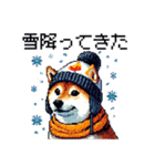 ドット絵 冬の柴犬 40種（個別スタンプ：12）