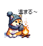 ドット絵 冬の柴犬 40種（個別スタンプ：13）