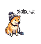 ドット絵 冬の柴犬 40種（個別スタンプ：14）