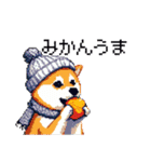 ドット絵 冬の柴犬 40種（個別スタンプ：15）