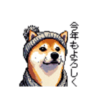 ドット絵 冬の柴犬 40種（個別スタンプ：16）