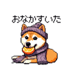 ドット絵 冬の柴犬 40種（個別スタンプ：18）