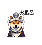 ドット絵 冬の柴犬 40種（個別スタンプ：19）