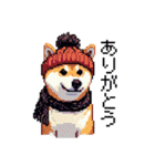 ドット絵 冬の柴犬 40種（個別スタンプ：20）