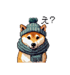 ドット絵 冬の柴犬 40種（個別スタンプ：21）