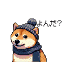 ドット絵 冬の柴犬 40種（個別スタンプ：22）