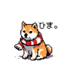 ドット絵 冬の柴犬 40種（個別スタンプ：24）