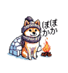 ドット絵 冬の柴犬 40種（個別スタンプ：30）