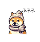 ドット絵 冬の柴犬 40種（個別スタンプ：31）