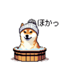 ドット絵 冬の柴犬 40種（個別スタンプ：33）