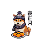 ドット絵 冬の柴犬 40種（個別スタンプ：39）