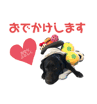 黒ラブジェイちゃんの使いやすいスタンプ2（個別スタンプ：18）