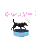 黒ラブジェイちゃんの使いやすいスタンプ2（個別スタンプ：26）