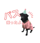 黒ラブジェイちゃんの使いやすいスタンプ2（個別スタンプ：35）