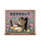 秋田犬りん♡（個別スタンプ：34）