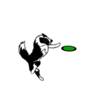 ボーダーコリーCOCOの日常3（個別スタンプ：21）