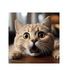 猫ミーム【面白い・表情豊か・日常】（個別スタンプ：16）