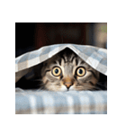 猫ミーム【面白い・表情豊か・日常】（個別スタンプ：28）