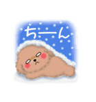 かわいいトイプードル☆冬【修正版】（個別スタンプ：19）