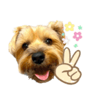 れお（7㌔ヨーキー）（個別スタンプ：9）
