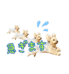 れお（7㌔ヨーキー）（個別スタンプ：20）