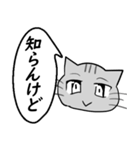 ひと言伝えるふきだしネコ 15（個別スタンプ：1）