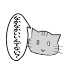 ひと言伝えるふきだしネコ 15（個別スタンプ：11）