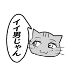 ひと言伝えるふきだしネコ 15（個別スタンプ：31）