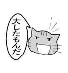 ひと言伝えるふきだしネコ 16（個別スタンプ：11）