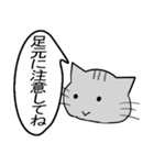 ひと言伝えるふきだしネコ 16（個別スタンプ：13）